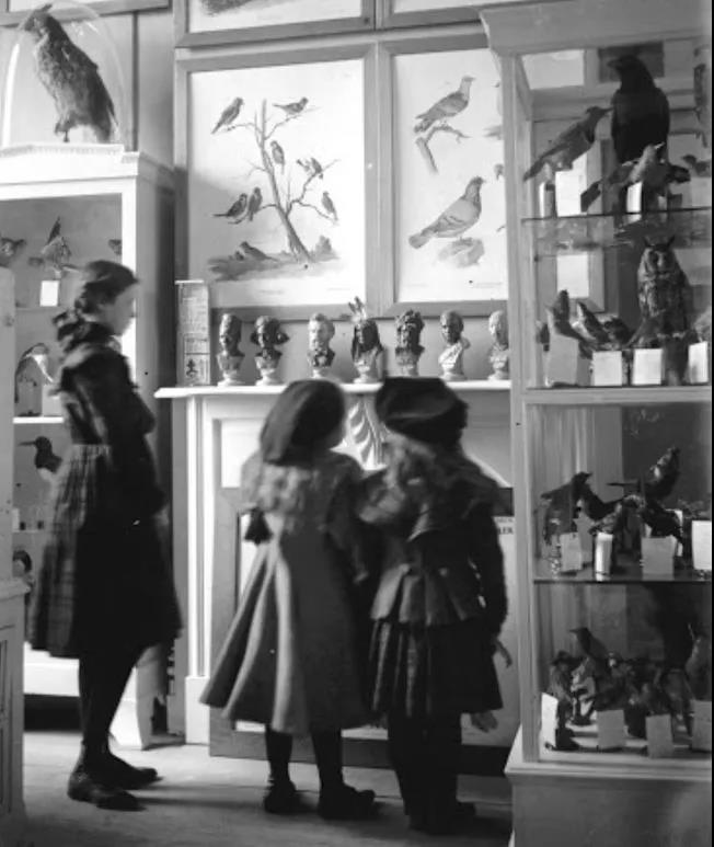 巖星特刊 | 以兒童的視角看博物館，解鎖新玩法插圖(1)